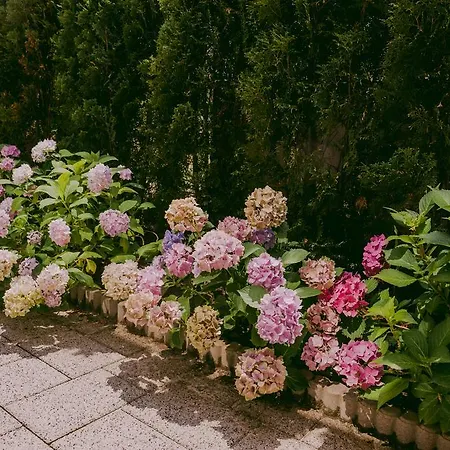 Lovely Full Of Charm And Coziness *
