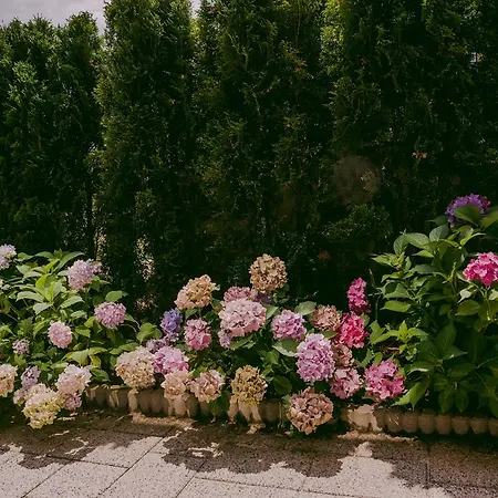 Lovely Full Of Charm And Coziness アパート *