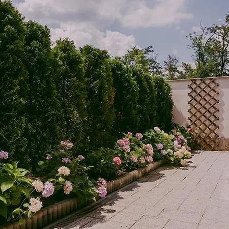 アパート Lovely Full Of Charm And Coziness *